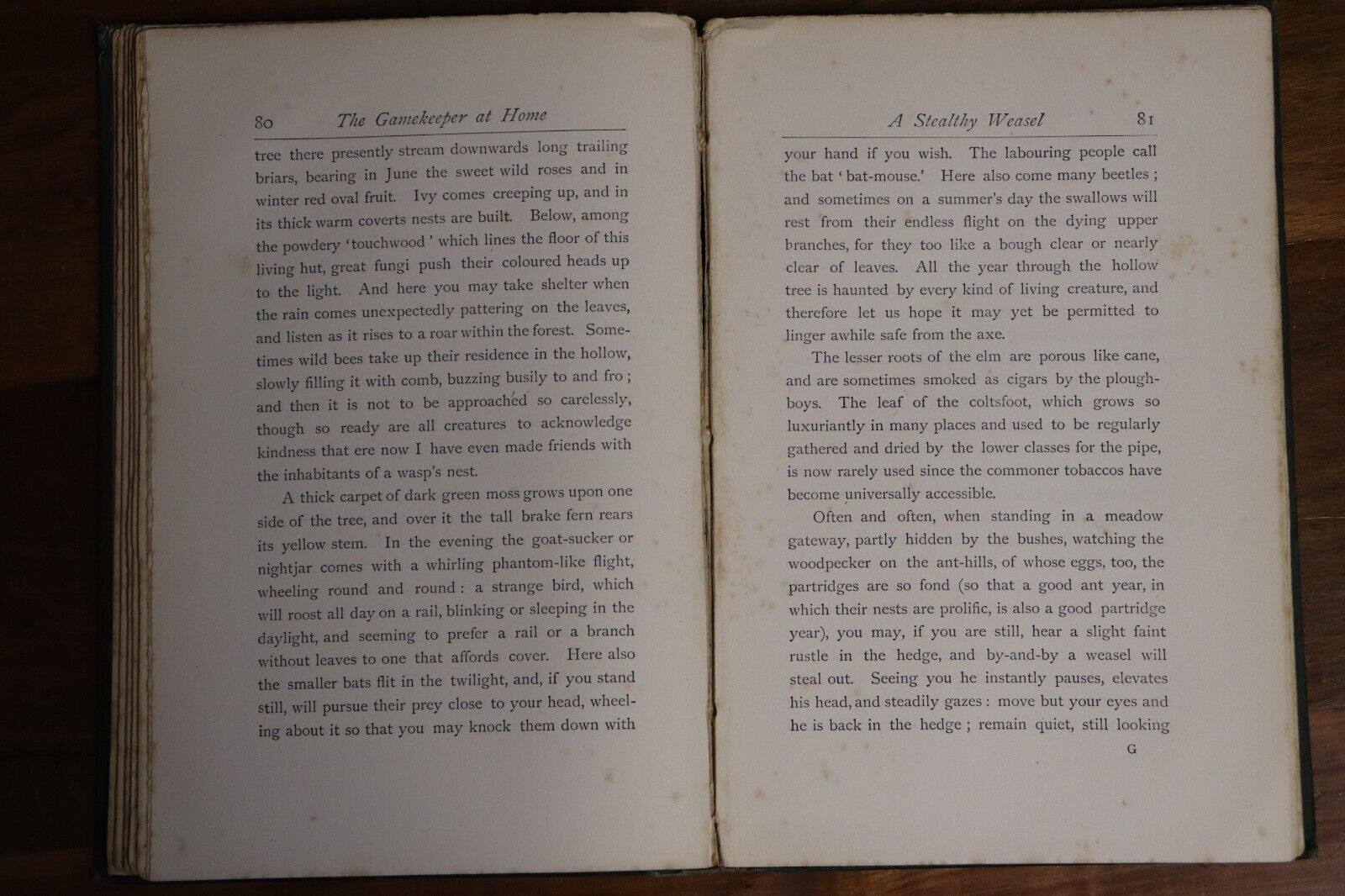 1889 The Gamekeeper At Home by R Jefferies Antique Natural History Book