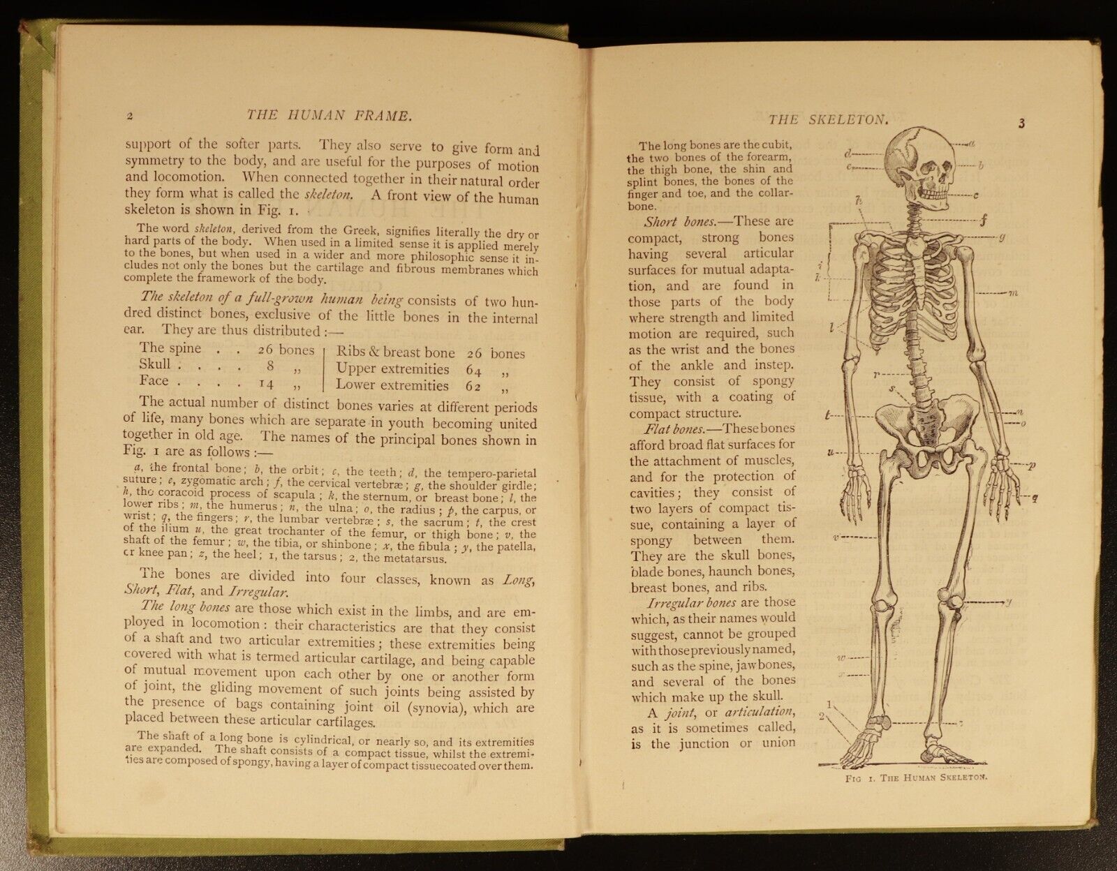 c1893 Human Body & Marvellous Structure Antique Medical & Health History Book