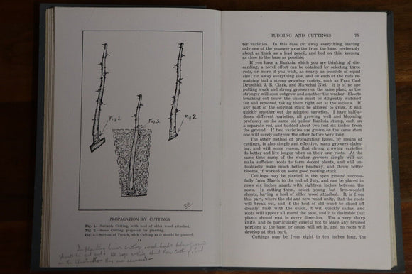 c1920 The Australasian Rose Book R.G. Elliott 1st Ed Gardening Reference Book