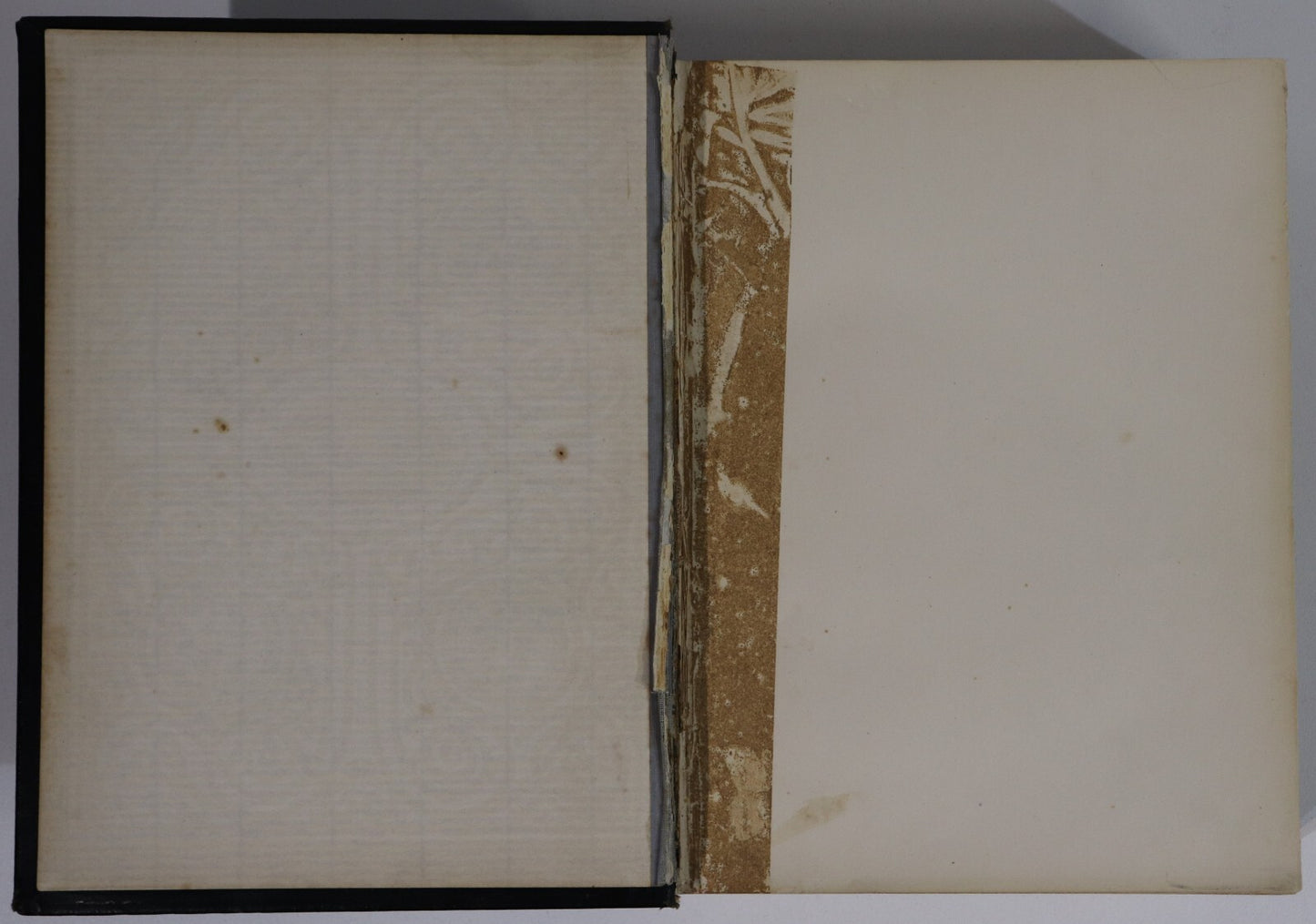 15ac45fe-e2fb-4e3b-a058-bb0c6ecc859e