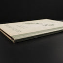 1919 Elves & Fairies Of Ida Rentoul Outhwaite Antique Australian Childrens Book-15