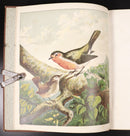 15f44889-3727-455e-b9b5-af106f67bd36