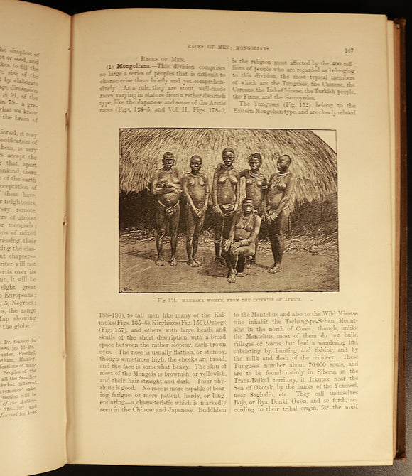 161b783d-71f8-4d70-8be2-da78ff0c75fc