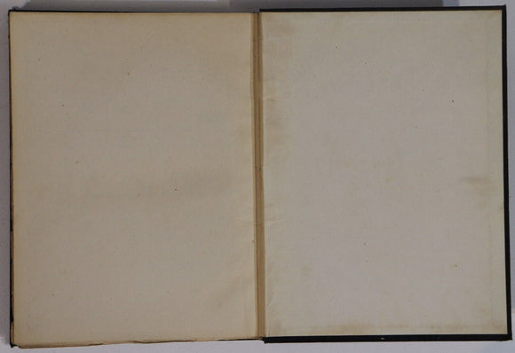 c1909 Dresden China by Egan Mew Antique Porcelain Collectible Reference Book