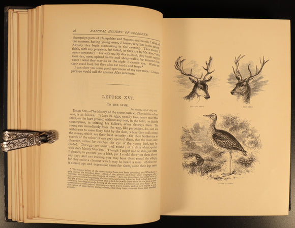 16d48473-1bf8-4093-92fd-beb947903e44