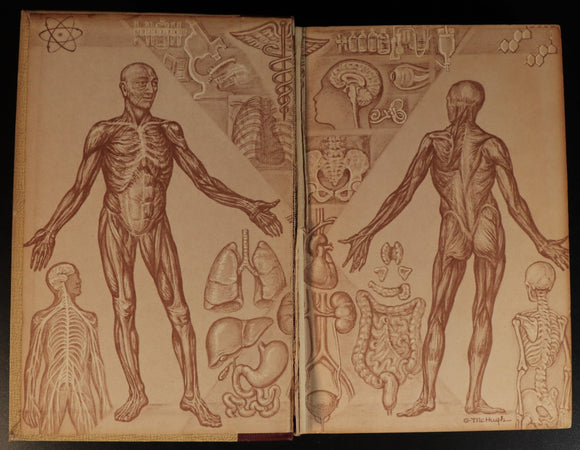 17536f31-f29f-49d3-bcc7-cbe514db4c8a