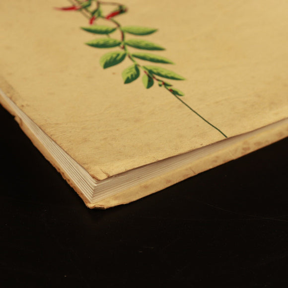 17cc1ccf-9c51-417a-8731-8c529f1977a1