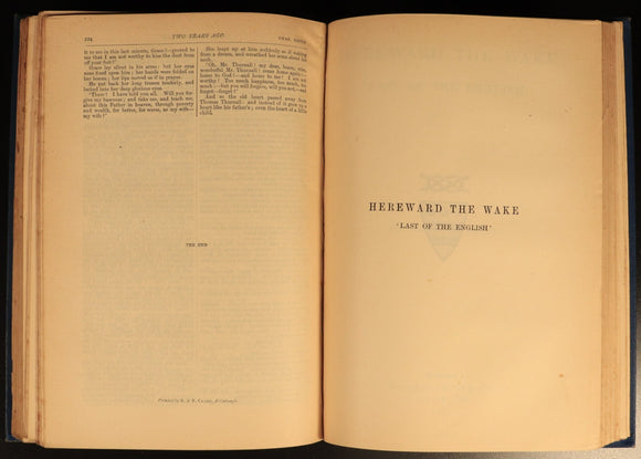 1890 Charles Kingsley Alton Locke Hereward The Wake etc Antique Fiction Books