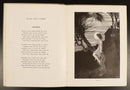 1919 Elves & Fairies Of Ida Rentoul Outhwaite Antique Australian Childrens Book-7