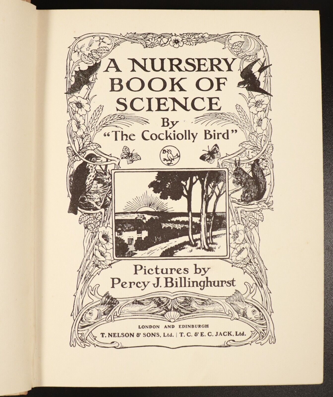 c1935 A Nursery Book Of Science Antique Childrens Book by The Cockiolly Bird