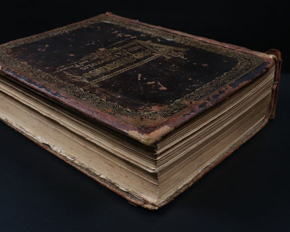 18a56c51-1e24-44a6-9e9c-6fd839ba5006