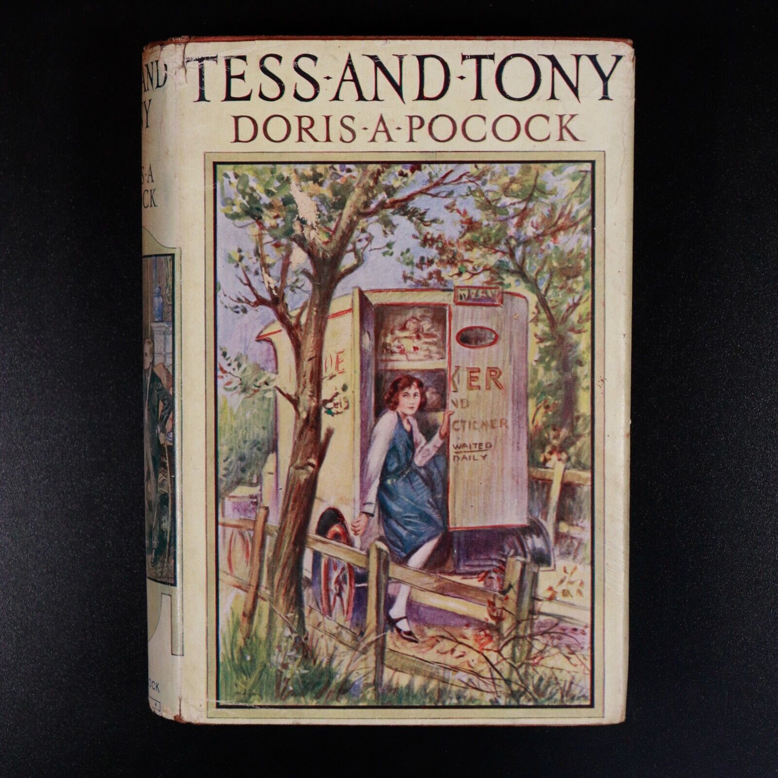 c1925 Tess & Tony by Doris A. Pocock Antique British Childrens Fiction Book