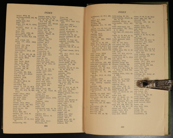 1929909d-b8b6-4598-9e2c-c49aa4cc7817