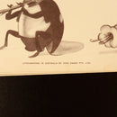 1940 The Nutcracker Suite by Walt Disney Antique Illustrated Childrens Book-10