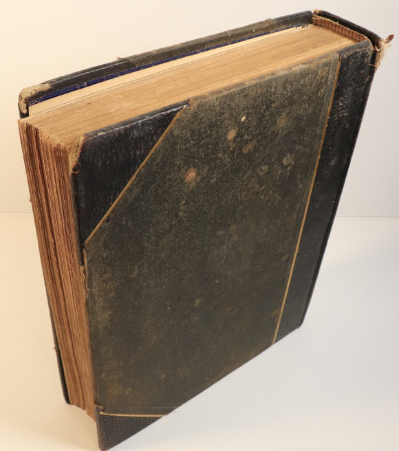 196bd74c-b838-4af3-9465-0e6ab5f5eb56