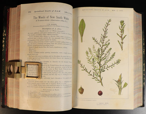 19a4518e-ac53-402a-91b9-390755d9b6a6