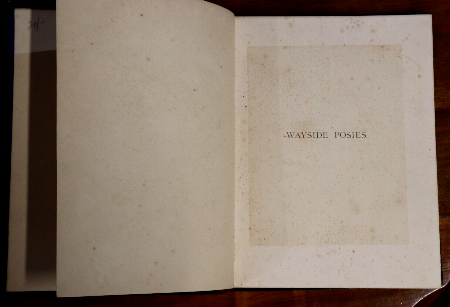 1867 Wayside Posies: Original Poems Of The Country Life Antiquarian Poetry Book