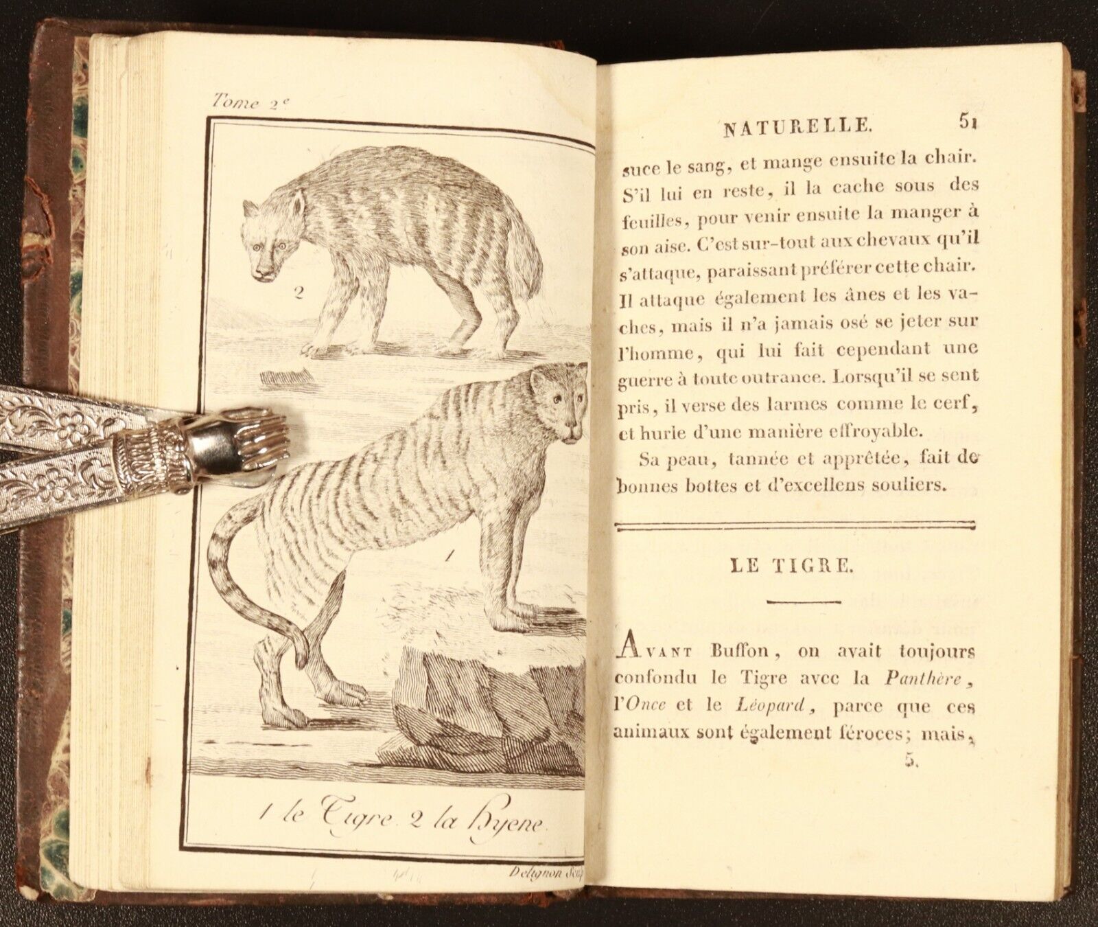 1822 Le Nouveau Buffon De La Jeunesse Antiquarian French Natural History Book