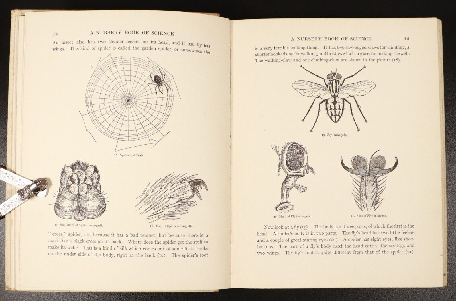 c1935 A Nursery Book Of Science Antique Childrens Book by The Cockiolly Bird