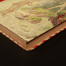 c1950 The Water Babies by Charles Kingsley Vintage Children's Book H.G. Theaker-2