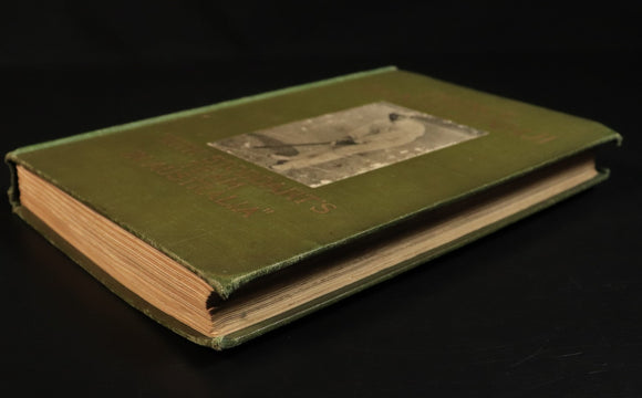 1c575098-4782-41a8-8483-826bef15b051