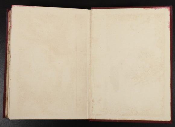 1cdb4954-a7b7-42fe-b420-2a4cce3a1391