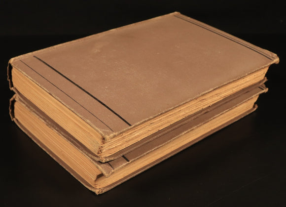 1891 Charles Kingsley Letters & Life British Religious History & Biography Books