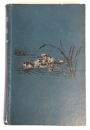 The Naturalist In La Plata by WH Hudson - 1895 - Antique Science & Nature Book-2