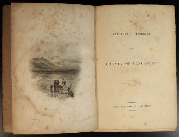 1d633fe9-d44e-496b-bce5-dd28ec07e48b