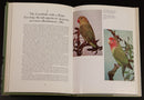 1979 Lovebirds & Related Parrots by George A. Smith Bird Reference Book Signed-8