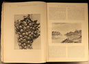 1887 The Australian Irrigation Colonies Antiquarian Australian History Book-12