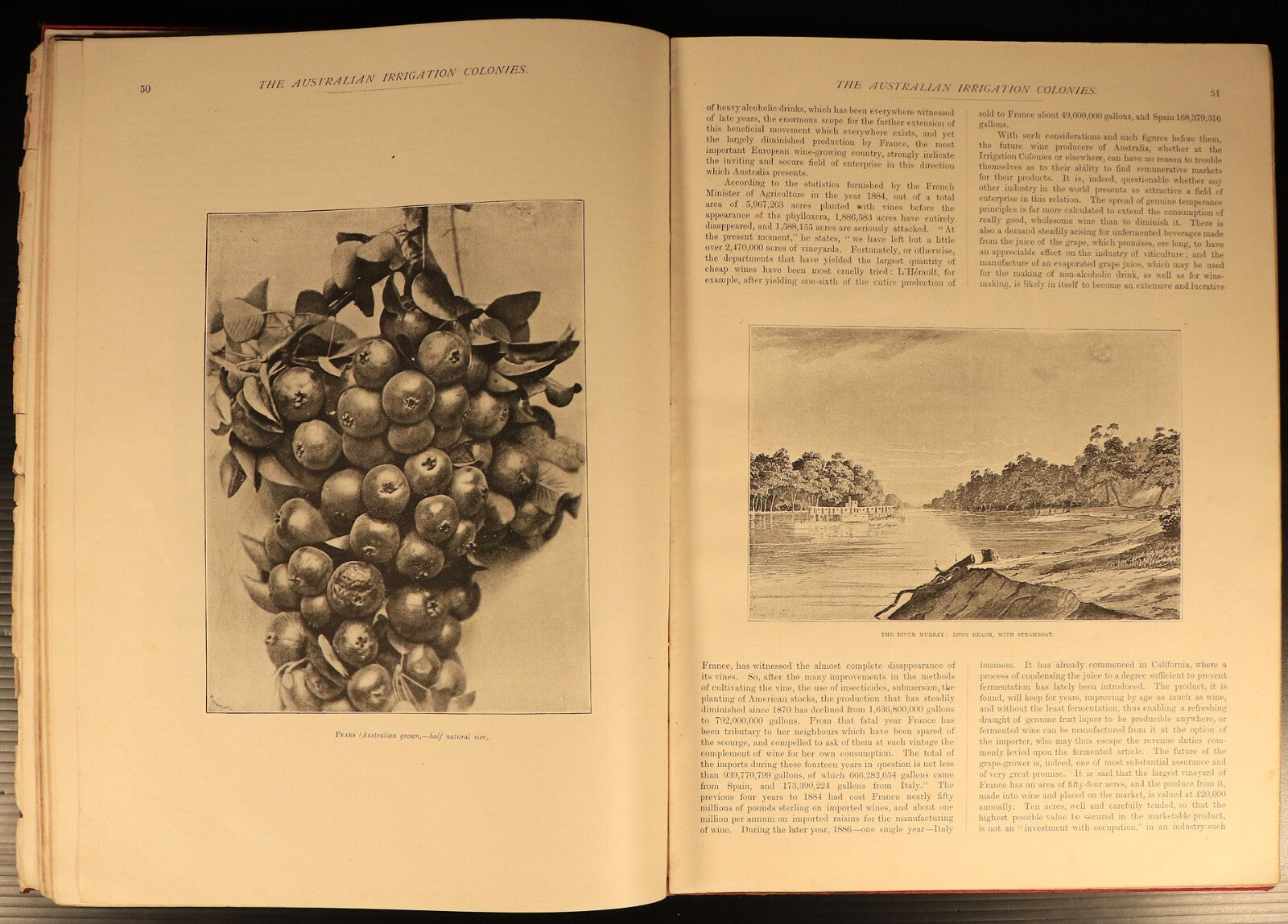 1887 The Australian Irrigation Colonies Antiquarian Australian History Book
