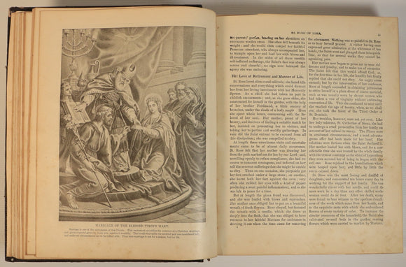 1e37e25b-4eb6-486f-91f5-c675363700ec