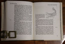 1962 The Greeks In Ionia & The East 1st Edition Vintage History Book Greece-6