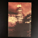 2006 Theft A Love Story by Peter Carey 1st Edition Signed by Author Fiction Book-8