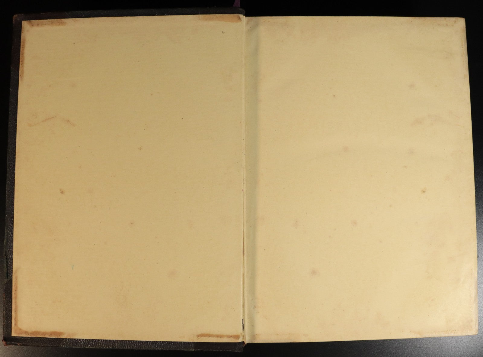 1e9e50f6-90bc-4aa3-8657-a1980a0b32ad