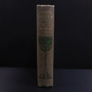 1912 White Ashes by S.R. Kennedy & A.C. Noble Antique American Fiction Book-10