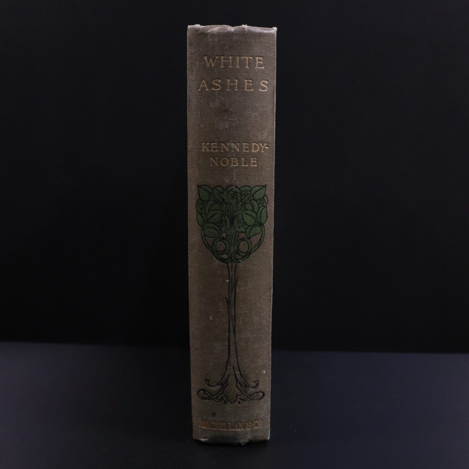 1912 White Ashes by S.R. Kennedy & A.C. Noble Antique American Fiction Book