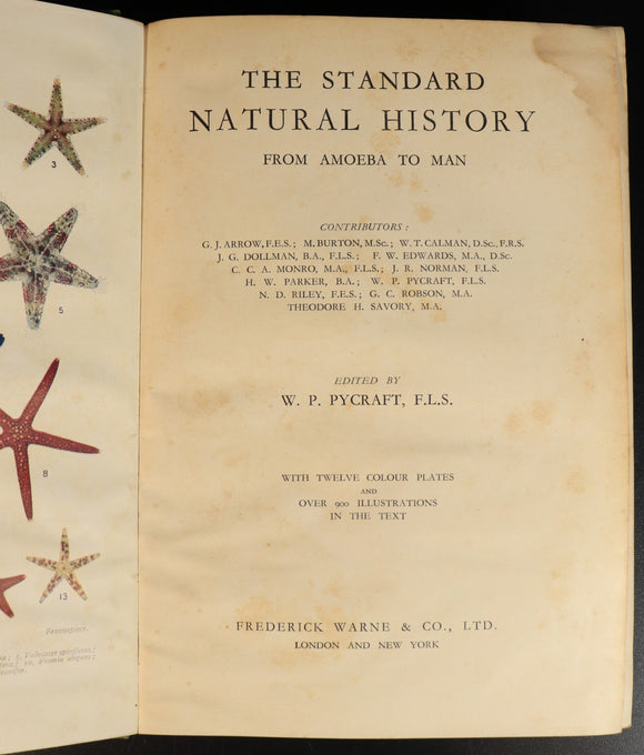 1fad194c-02de-434f-a014-df5f395326d6