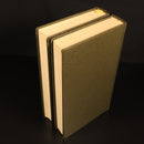 Daphne Du Maurier Rebecca & Midnight Vintage Fiction Books 2vol Heron Books-2