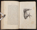 1842 Journal Of A Steam Voyage Danube To Constantinople Antique Travel Book-7
