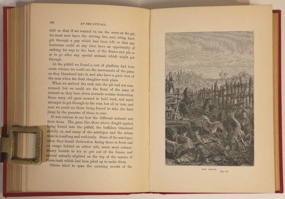 1894 Jack Hooper Adventures At Sea & South Africa Antiquarian Adventure Book