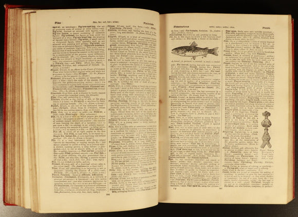 Chambers's Twentieth Century Dictionary 1931 Antique British Reference Book