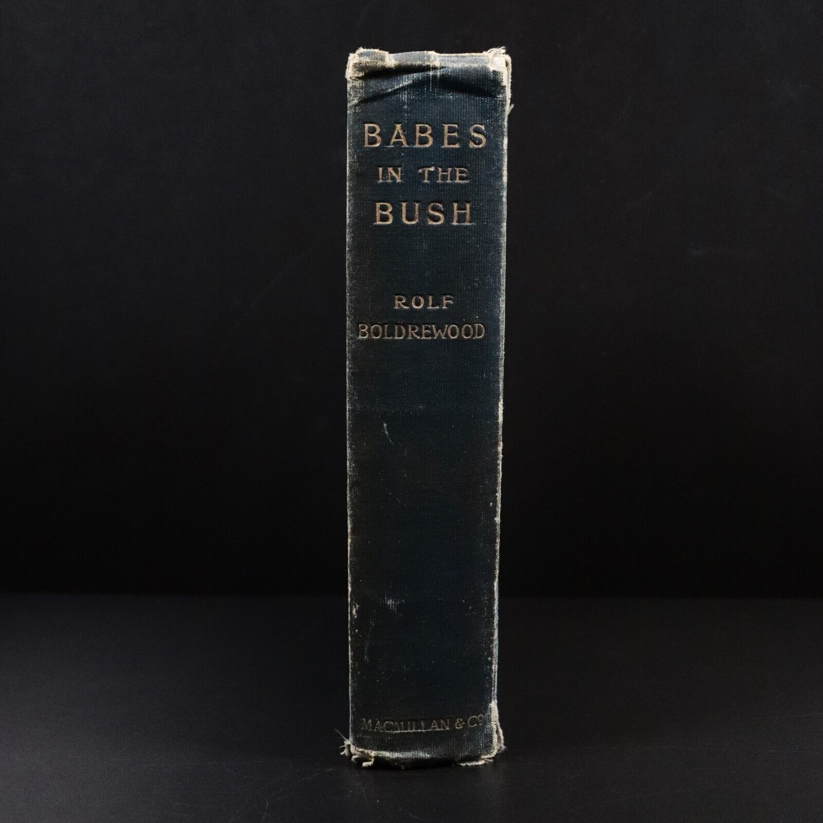 1900 Babes In The Bush by Rolf Boldrewood Antique Australian Bush Fiction Book