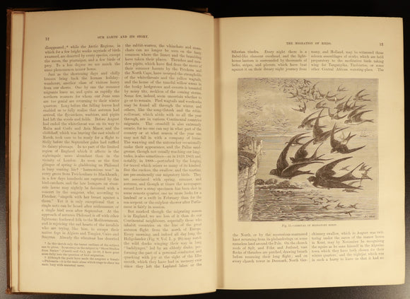 208d5fd7-fa22-4725-b4bc-027783a18939