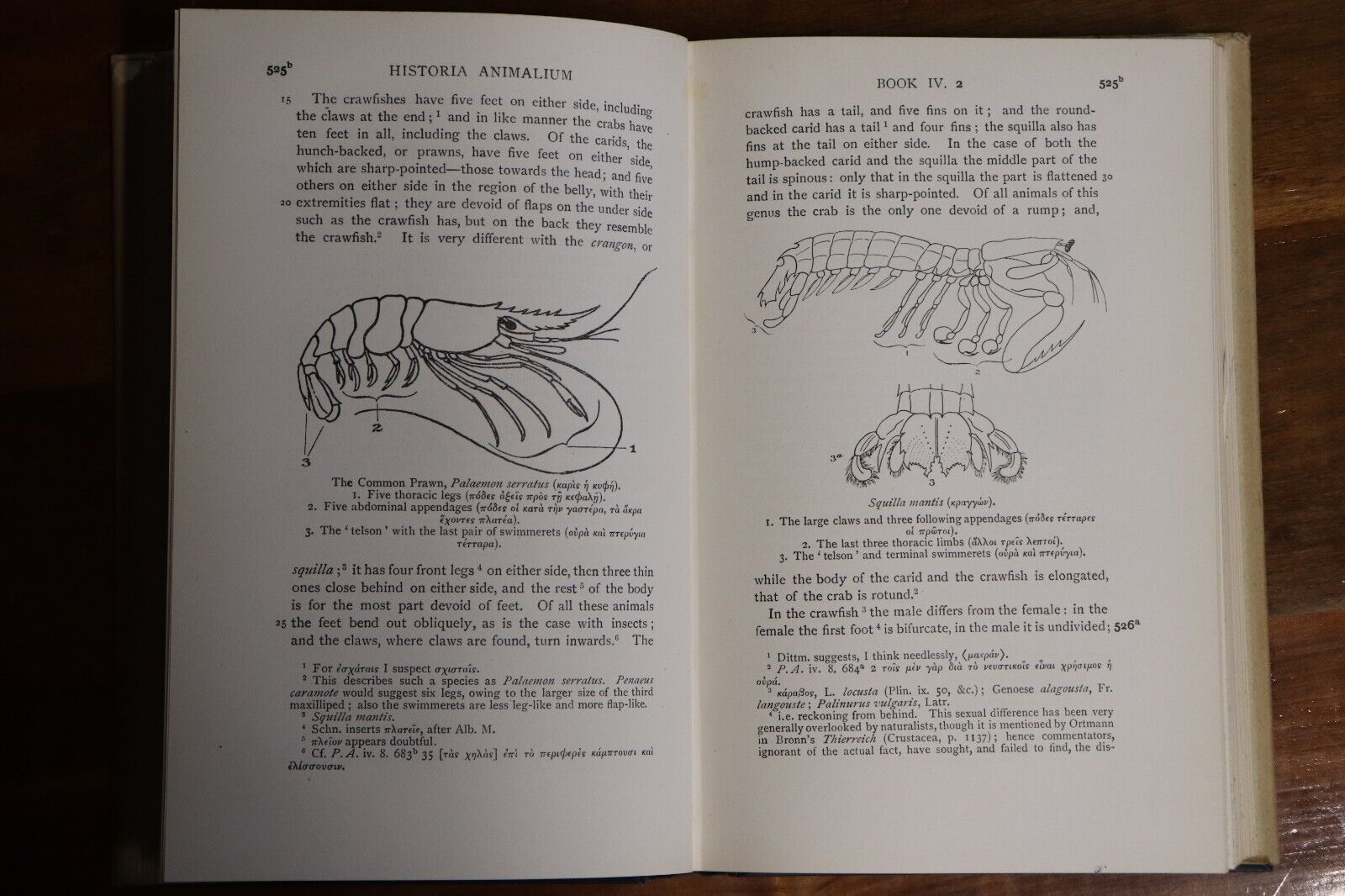 1910 The Works Of Aristotle Historia Animalium 1st Ed. Antique Philosophy Book