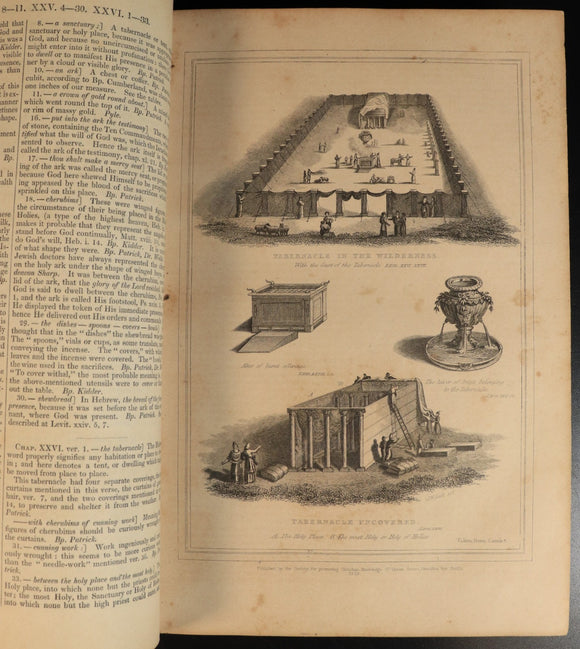 21acb50a-7dfd-4b68-8e4a-8ac3315563ce