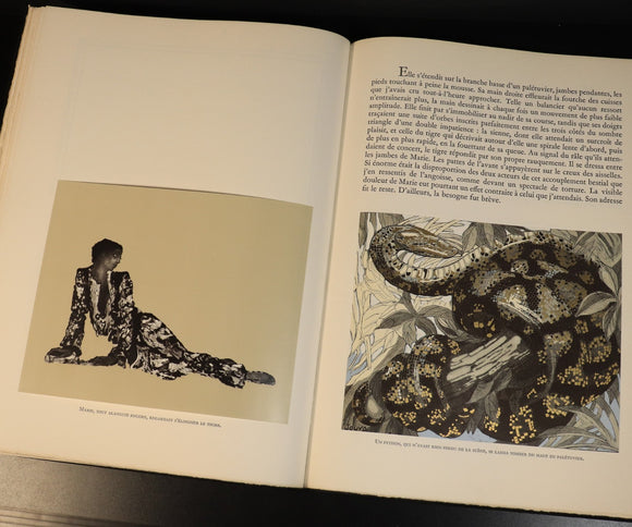 223f6a3f-2c4d-4455-9f09-29aa38fe3a36