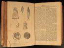 1858 Manual Of Domestic Medicine & Surgery by JH Walsh Antiquarian Medical Book-14