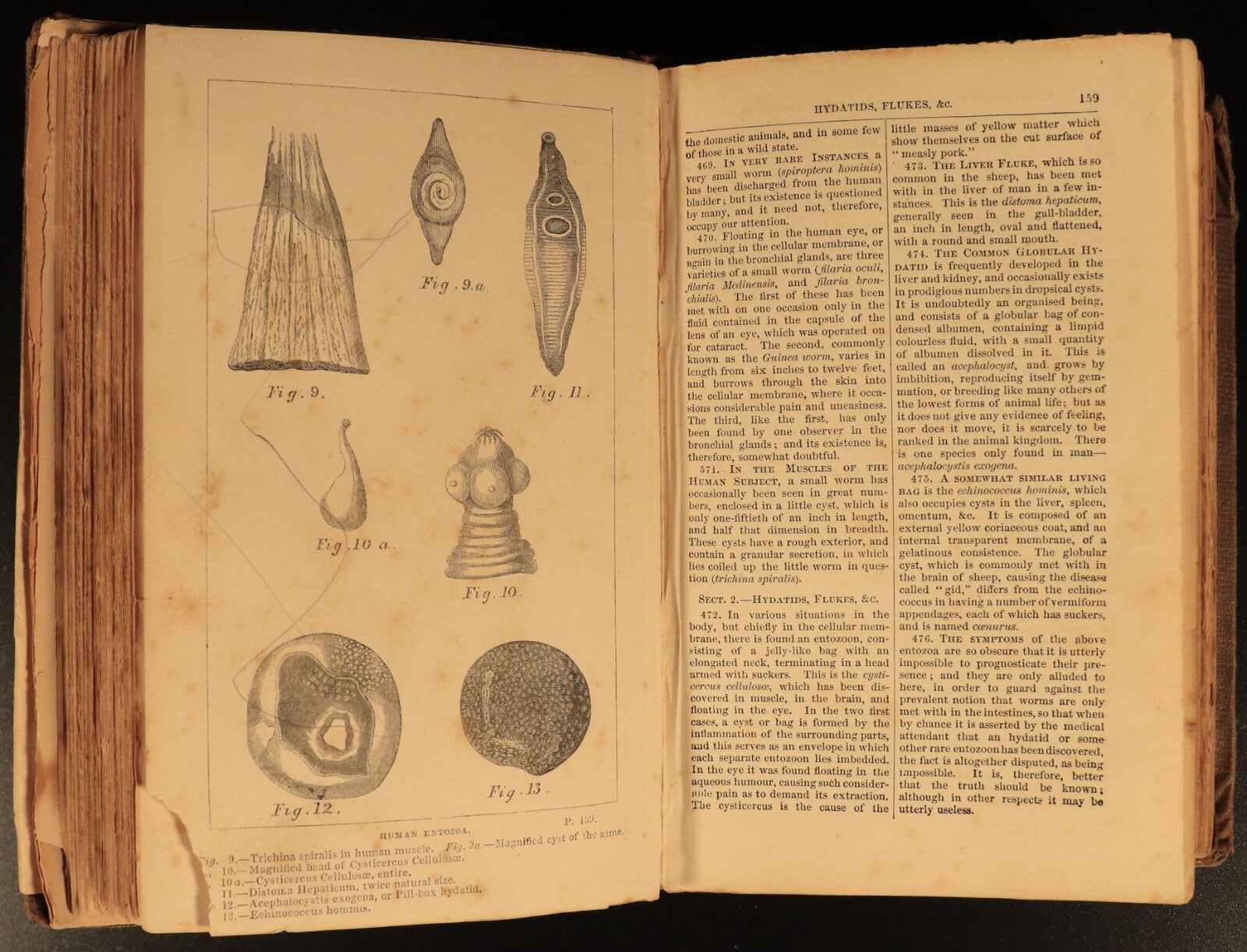 1858 Manual Of Domestic Medicine & Surgery by JH Walsh Antiquarian Medical Book